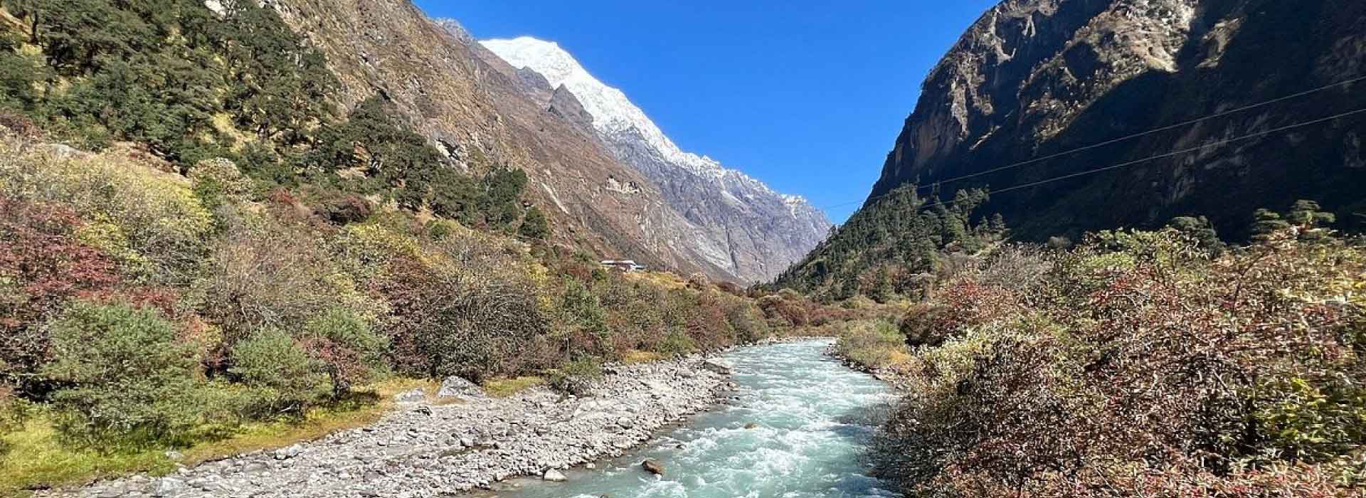 Annapurna Base Camp Rhododendron Trek
