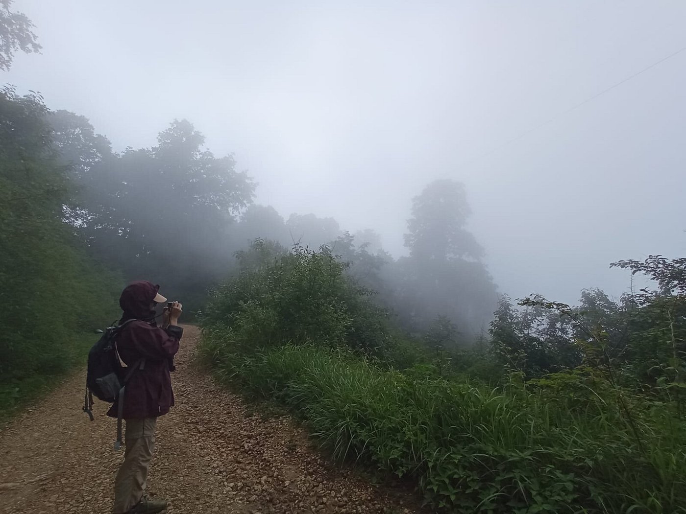 Guided Birdwatching Tour Through Godavari