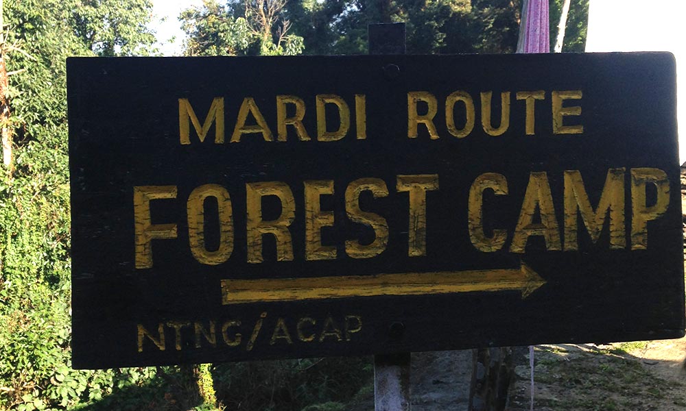 Forest Camp direction indicator