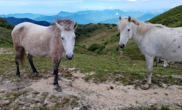 Horse Riding trek to Annapurna