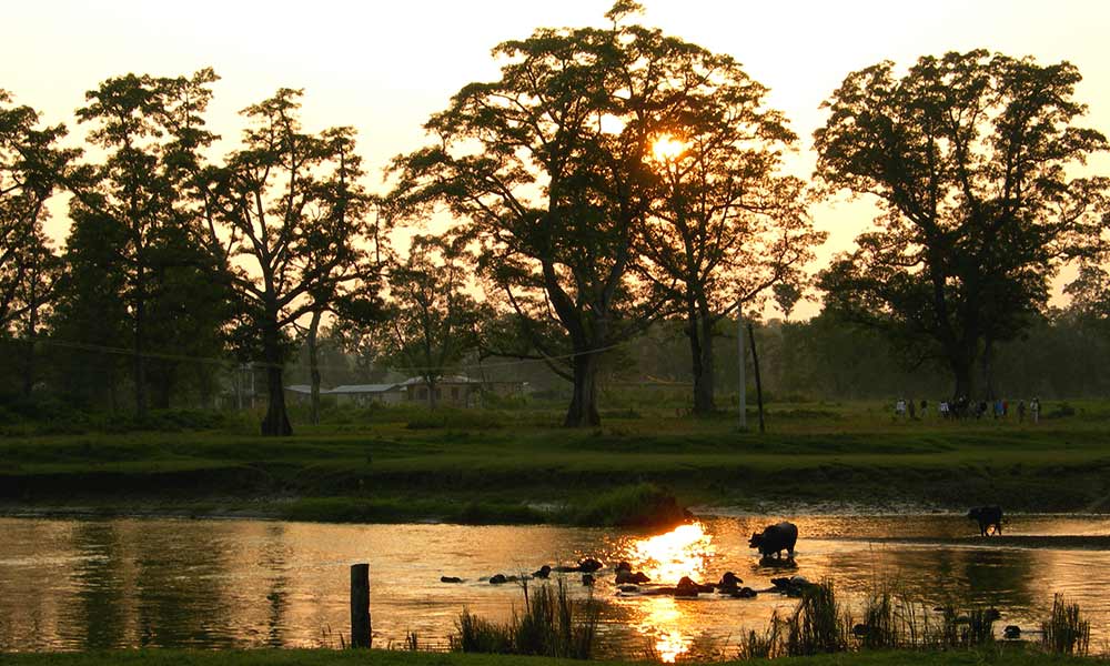 Chitwan National Park during Sunset