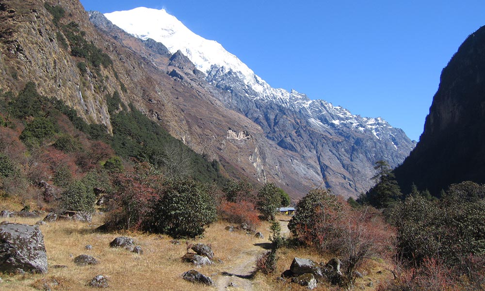 View of Langtang from Ghodatabela