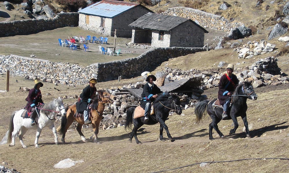 Local people with their horses